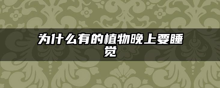为什么有的植物晚上要睡觉