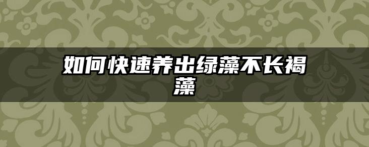 如何快速养出绿藻不长褐藻