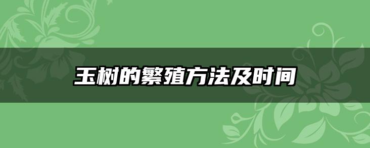 玉树的繁殖方法及时间