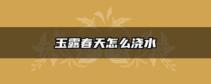 玉露春天怎么浇水