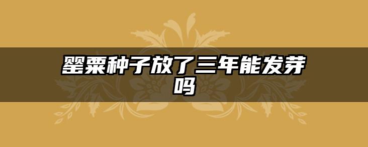 罂粟种子放了三年能发芽吗