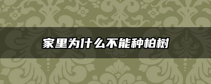 家里为什么不能种柏树