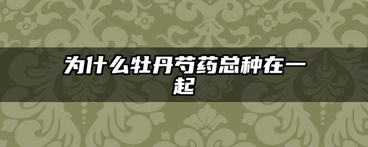 为什么牡丹芍药总种在一起