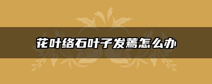 花叶络石叶子发蔫怎么办