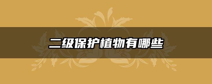 二级保护植物有哪些