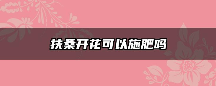 扶桑开花可以施肥吗