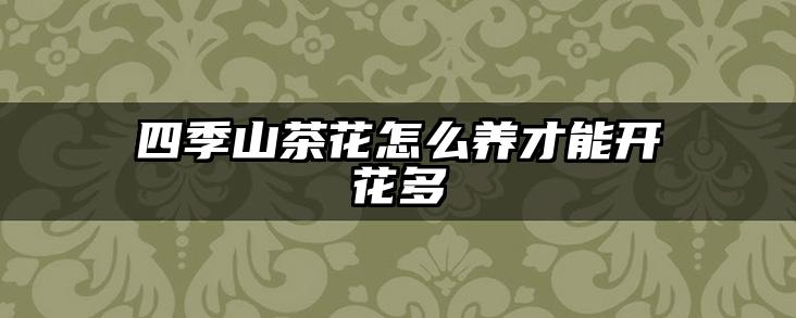 四季山茶花怎么养才能开花多