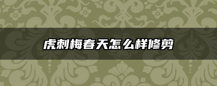 虎刺梅春天怎么样修剪