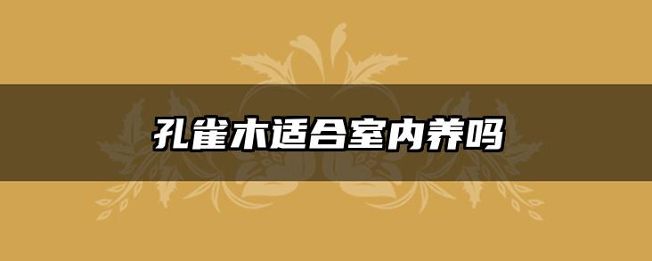 孔雀木适合室内养吗