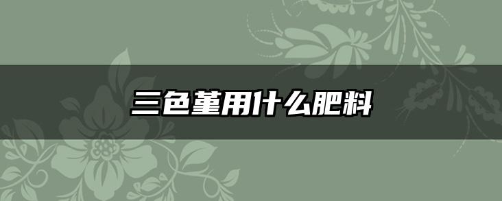 三色堇用什么肥料