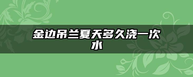 金边吊兰夏天多久浇一次水