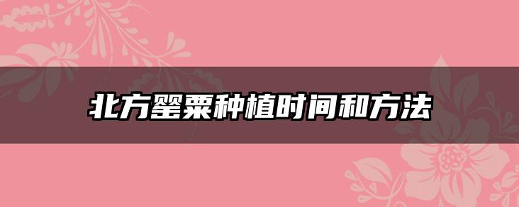 北方罂粟种植时间和方法