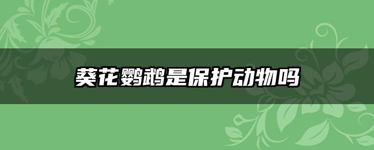 葵花鹦鹉是保护动物吗