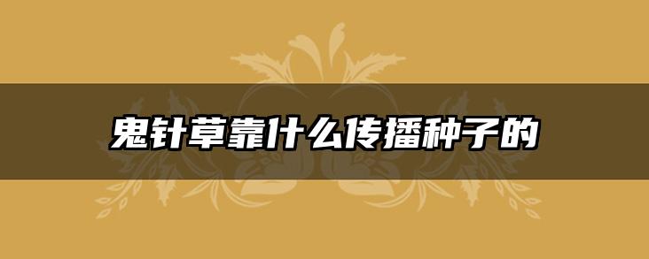 鬼针草靠什么传播种子的