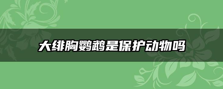 大绯胸鹦鹉是保护动物吗