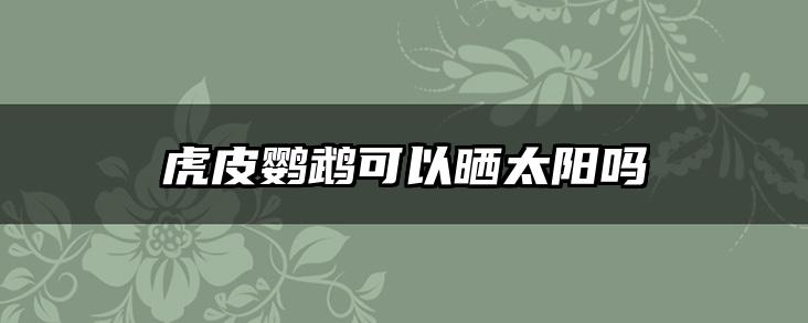 虎皮鹦鹉可以晒太阳吗