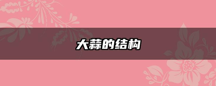 大蒜的结构