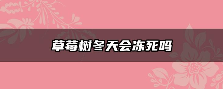 草莓树冬天会冻死吗