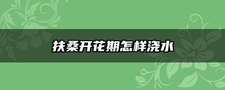 扶桑开花期怎样浇水