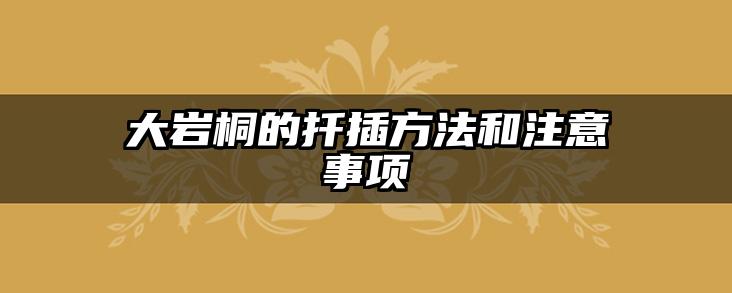 大岩桐的扦插方法和注意事项