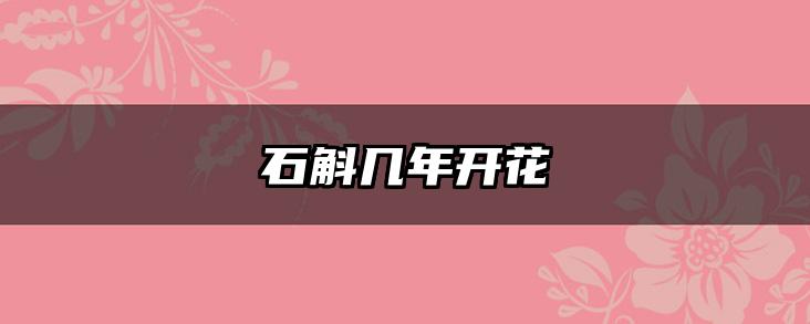 石斛几年开花