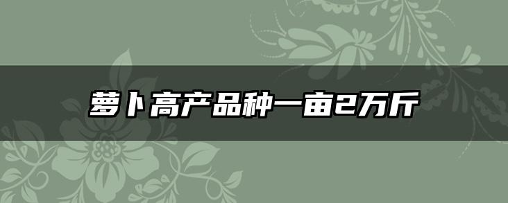 萝卜高产品种一亩2万斤