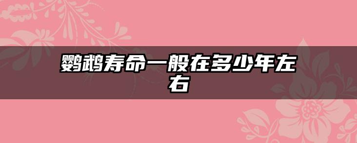 鹦鹉寿命一般在多少年左右