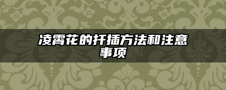 凌霄花的扦插方法和注意事项