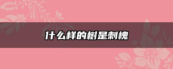 什么样的树是刺槐