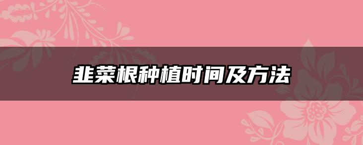 韭菜根种植时间及方法