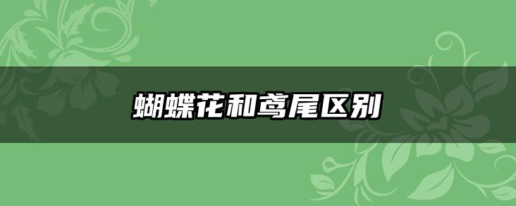 蝴蝶花和鸢尾区别