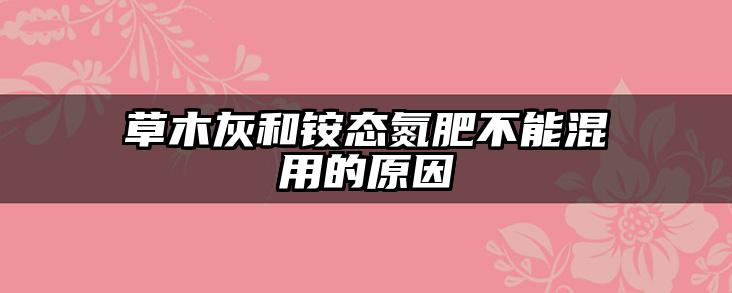 草木灰和铵态氮肥不能混用的原因