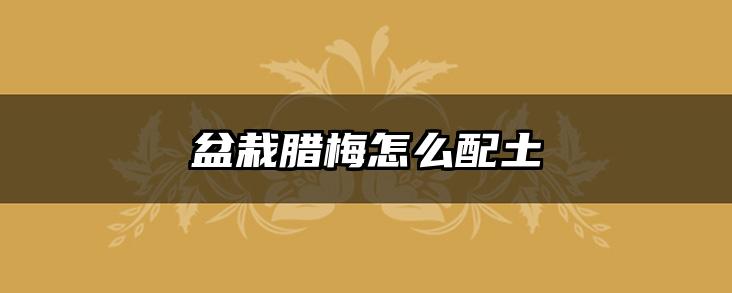 盆栽腊梅怎么配土