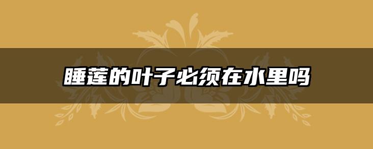睡莲的叶子必须在水里吗