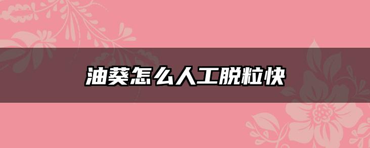 油葵怎么人工脱粒快