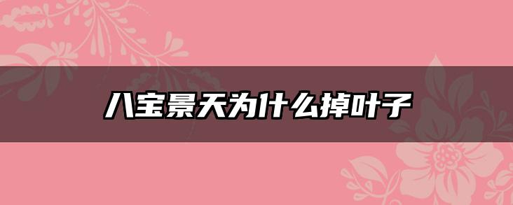 八宝景天为什么掉叶子