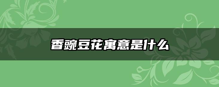 香豌豆花寓意是什么