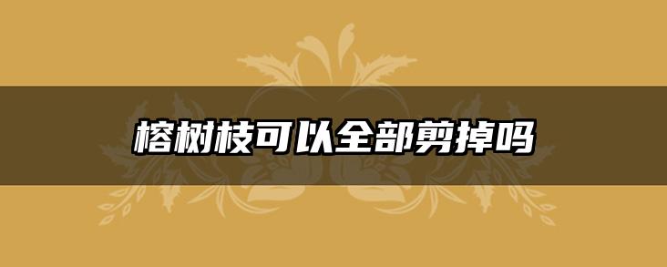 榕树枝可以全部剪掉吗