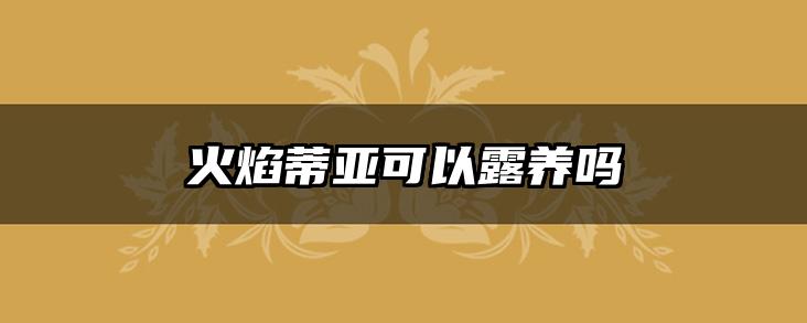 火焰蒂亚可以露养吗