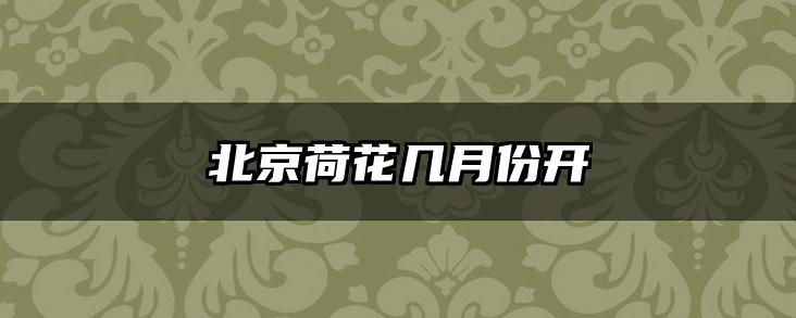 北京荷花几月份开