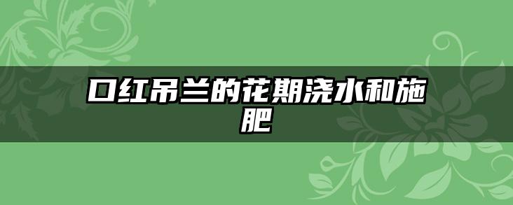 口红吊兰的花期浇水和施肥