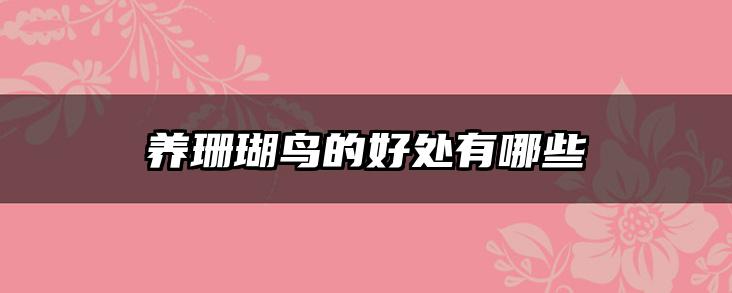 养珊瑚鸟的好处有哪些