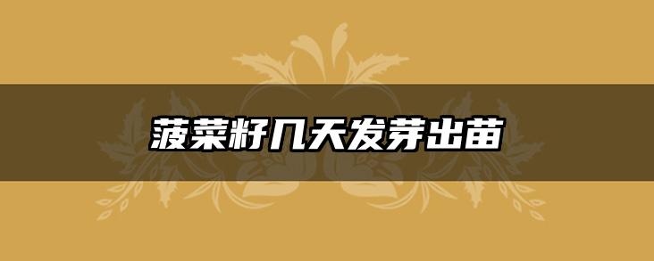 菠菜籽几天发芽出苗
