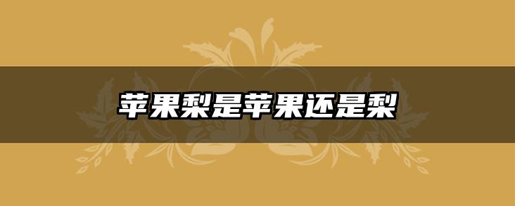 苹果梨是苹果还是梨