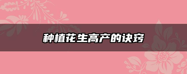 种植花生高产的诀窍