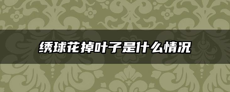 绣球花掉叶子是什么情况