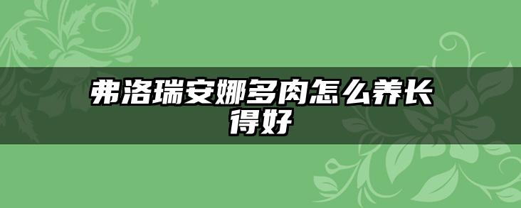 弗洛瑞安娜多肉怎么养长得好
