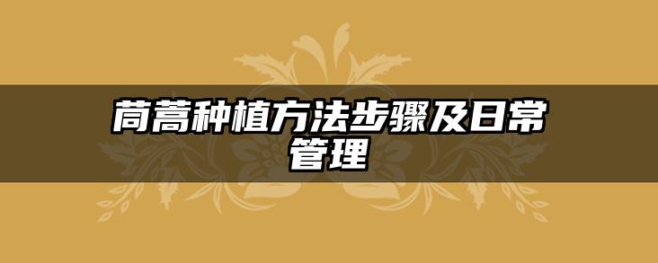 茼蒿种植方法步骤及日常管理