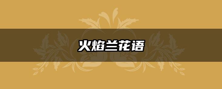 火焰兰花语