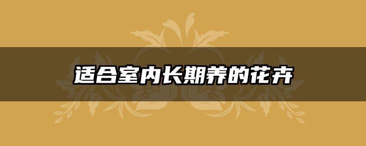 适合室内长期养的花卉
